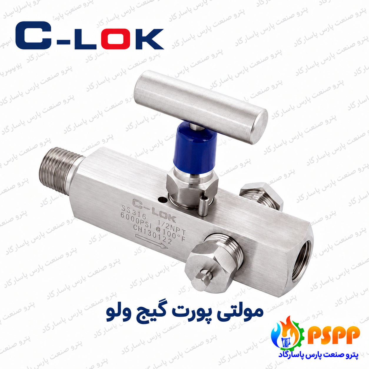 مولتی پورت گیج ولو سیلوک (C-LOK) | تأمین تخصصی