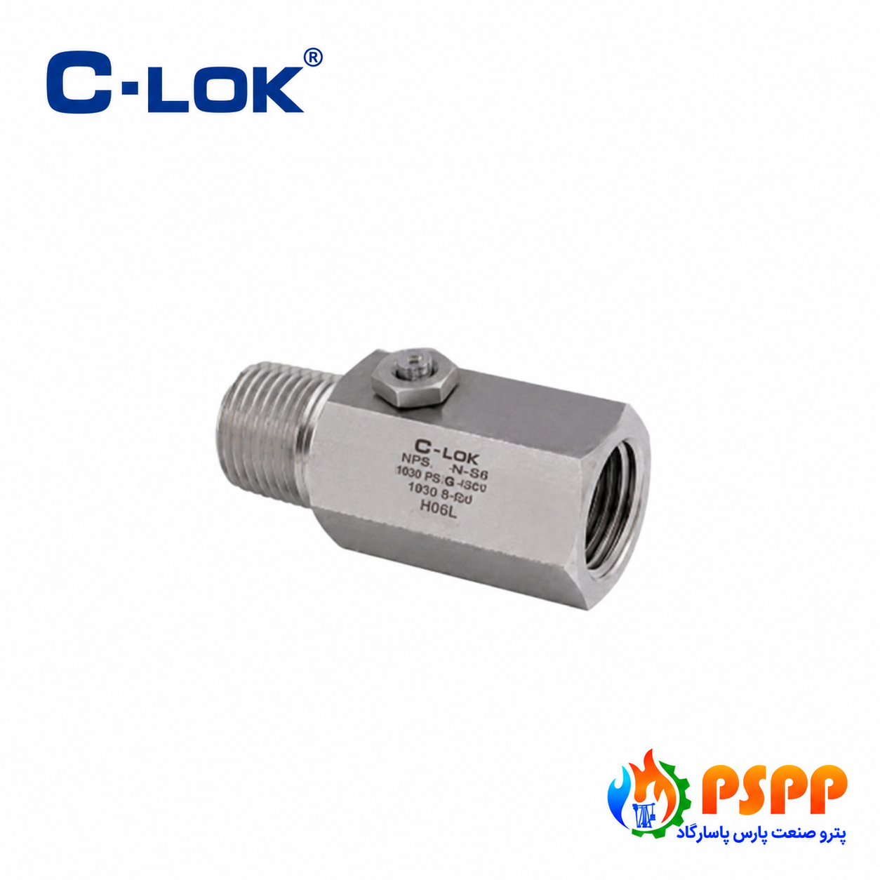 اسنابر گیج فشار استنلس استیل 316 فشار 6000 PSI | تأمین ابزار دقیق